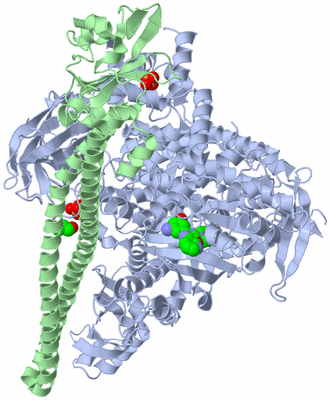 Image Asym./Biol. Unit