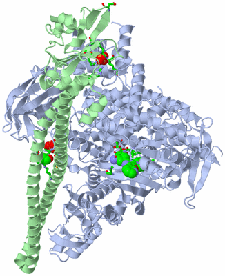 Image Asym./Biol. Unit - sites