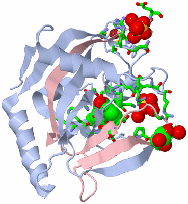 Image Biol. Unit 1 - sites