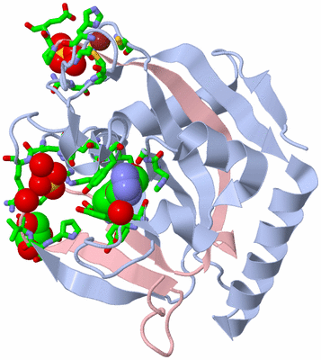 Image Biol. Unit 1 - sites