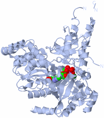 Image Biological Unit 1