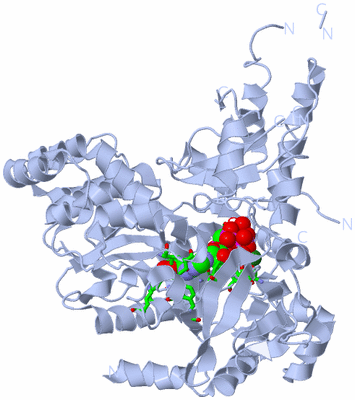 Image Biol. Unit 1 - sites