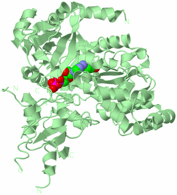 Image Biological Unit 2