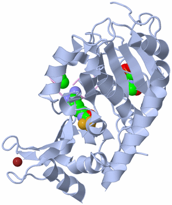 Image Biological Unit 1