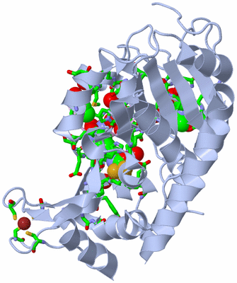 Image Biol. Unit 1 - sites