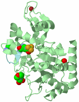 Image Biological Unit 2