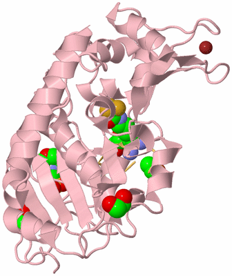 Image Biological Unit 3