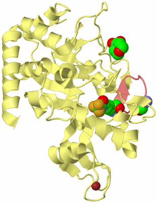 Image Biological Unit 4