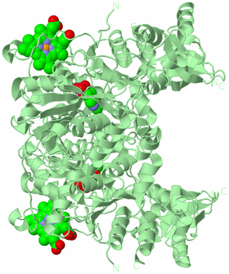 Image Biological Unit 1