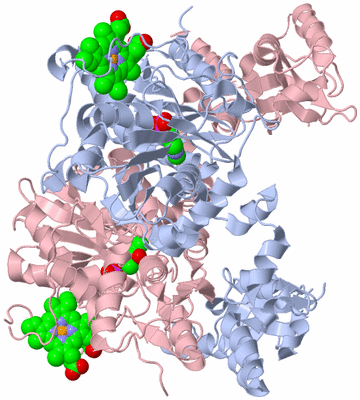 Image Biological Unit 2