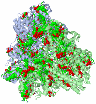 Image Biol. Unit 1 - sites