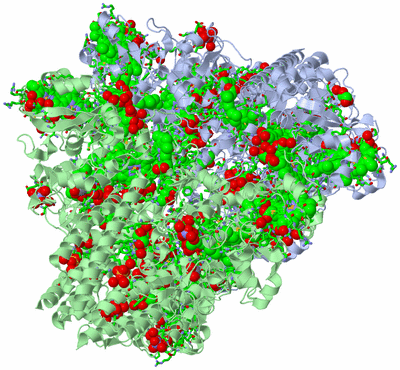 Image Biol. Unit 1 - sites