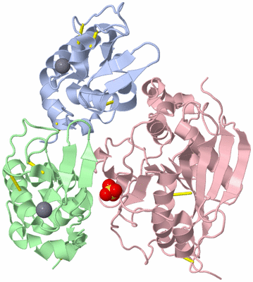 Image Asym./Biol. Unit