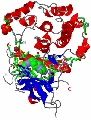 Image Asym./Biol. Unit - sites