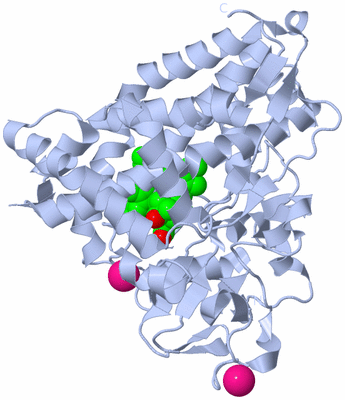 Image Biological Unit 1