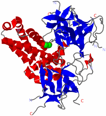 Image Asym./Biol. Unit