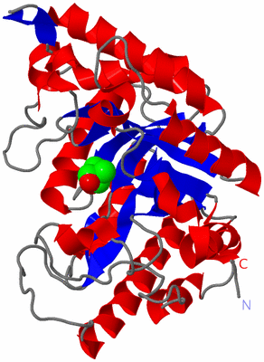 Image Asym./Biol. Unit