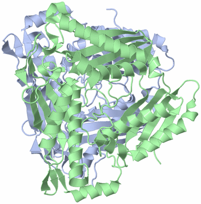 Image Biological Unit 2