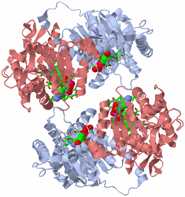 Image Biol. Unit 1 - sites