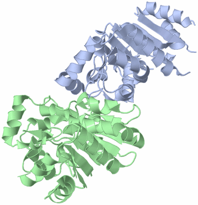 Image Asym./Biol. Unit