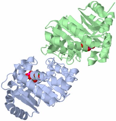 Image Asym./Biol. Unit