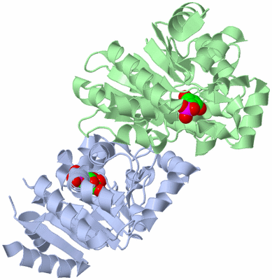 Image Asym./Biol. Unit