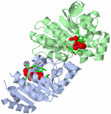 Image Asym./Biol. Unit - sites