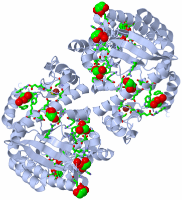 Image Biol. Unit 1 - sites