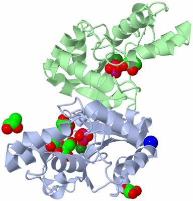 Image Biological Unit 1