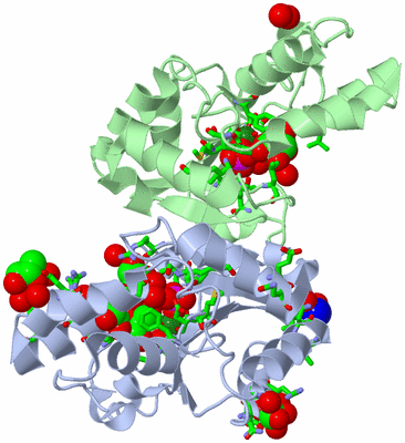 Image Biol. Unit 1 - sites