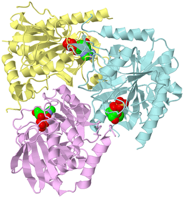 Image Biological Unit 2