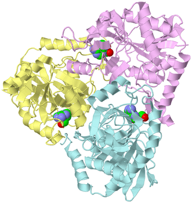 Image Biological Unit 2