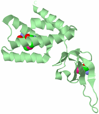 Image Biological Unit 2