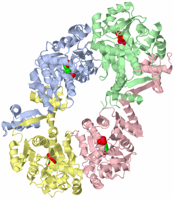 Image Biological Unit 1