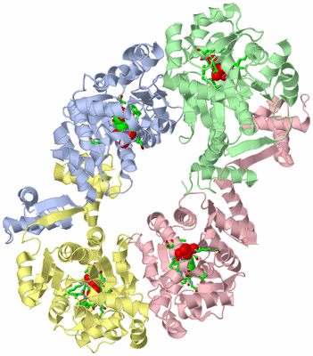 Image Biol. Unit 1 - sites