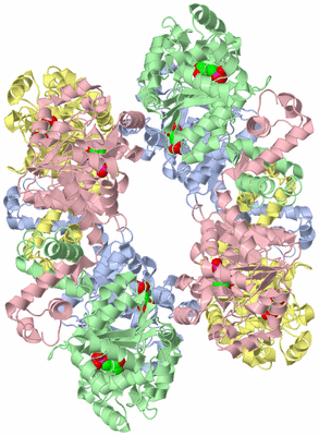 Image Biological Unit 2