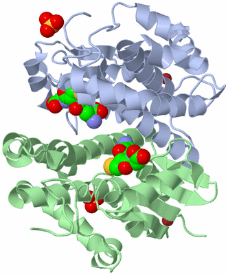 Image Biological Unit 1