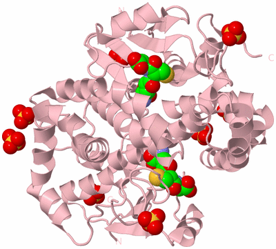 Image Biological Unit 2