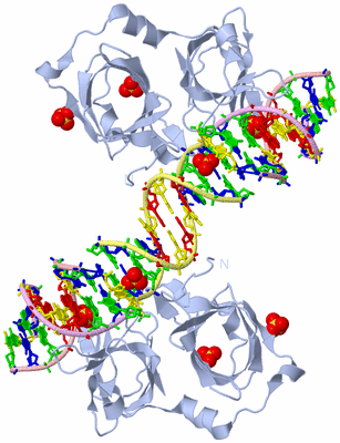 Image Biological Unit 1