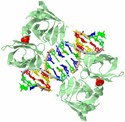 Image Biological Unit 2