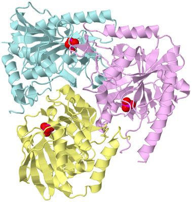 Image Biological Unit 2