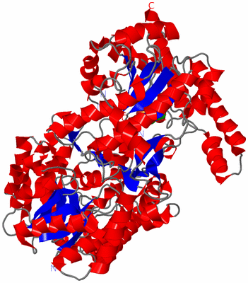 Image Asym./Biol. Unit