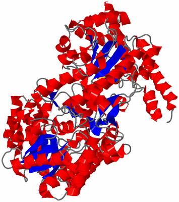 Image Asym./Biol. Unit