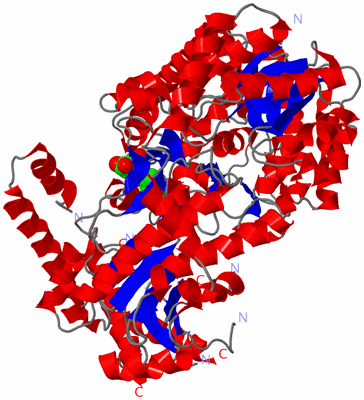 Image Asym./Biol. Unit