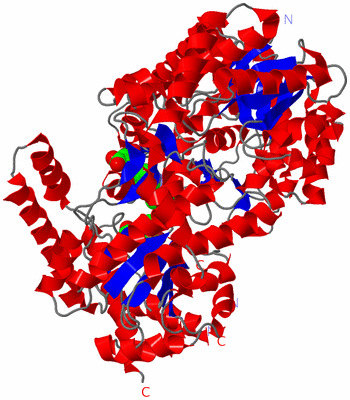 Image Asym./Biol. Unit