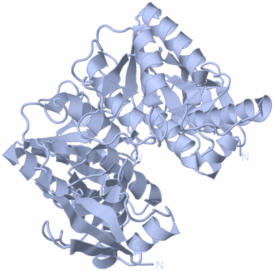 Image Biological Unit 1