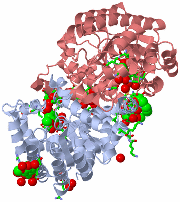 Image Biol. Unit 1 - sites