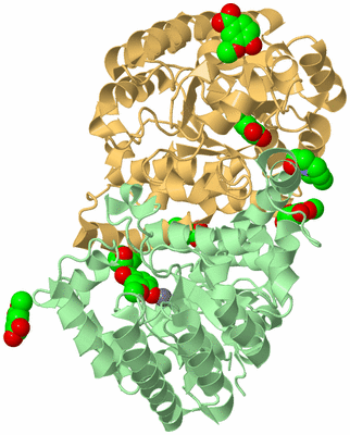 Image Biological Unit 2