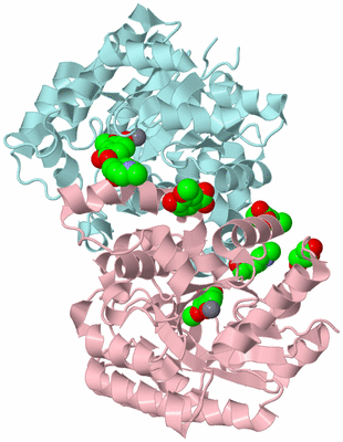 Image Biological Unit 3