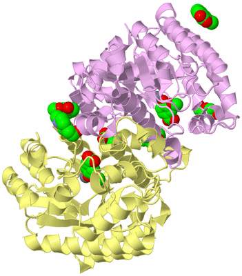 Image Biological Unit 4